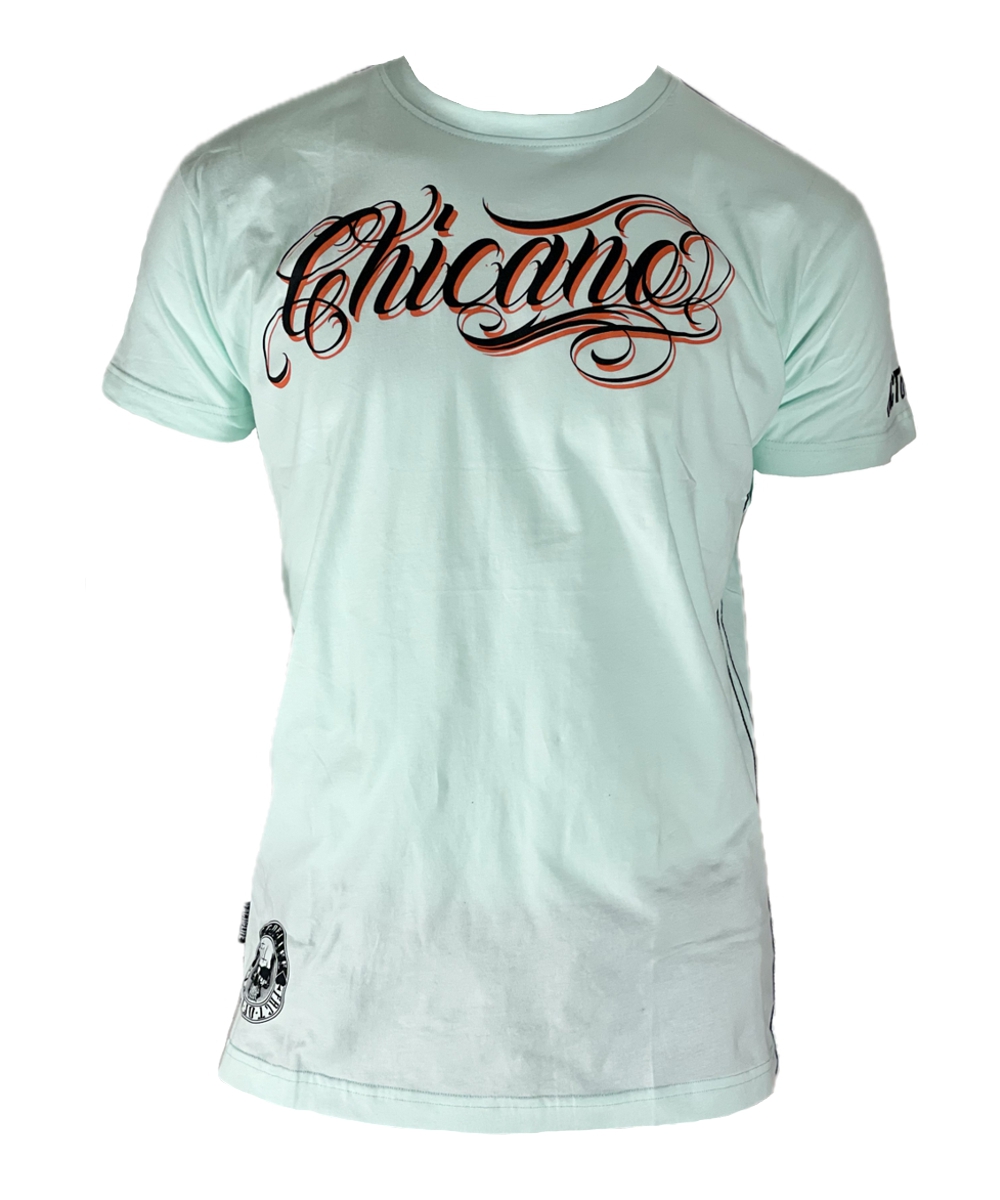 TS-89 fair aqua fact of life shirt o2